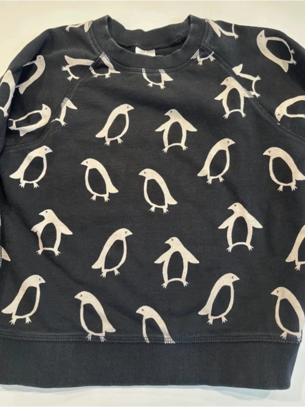 Hanna Andersson Kids Penguin Sweatshirt and Striped Leggings Set Black White‎ 10
